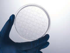 Cell Climbing Culture Dish