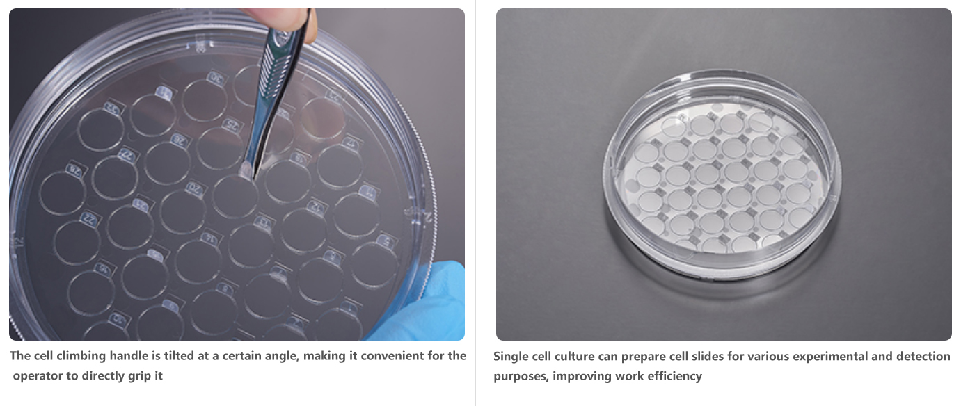 Cell Climbing Culture Dish