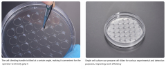 Cell Climbing Culture Dish