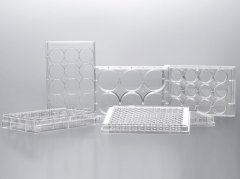 Super HydrophilicCell Culture Dish/Plate/Bottle