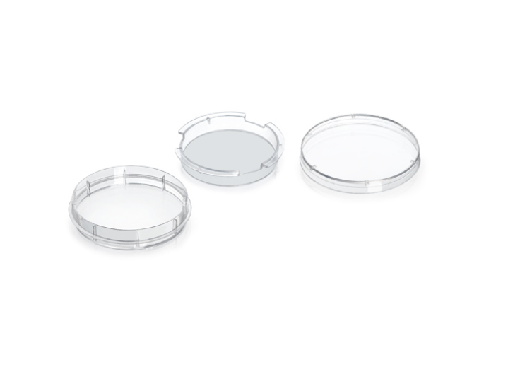 100mm Cell Embedding Dish
