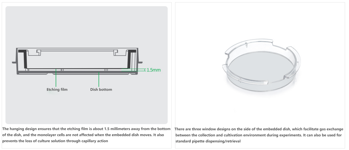100mm Cell Embedding Dish