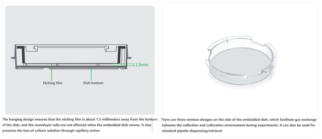 100mm Cell Embedding Dish