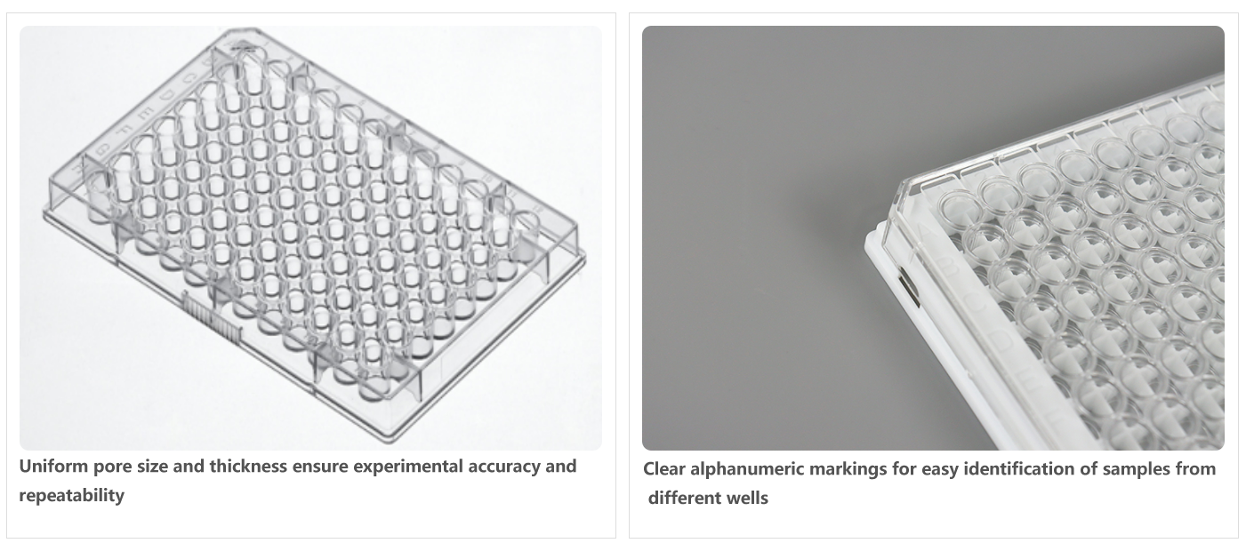 Enzyme Labeling Plate