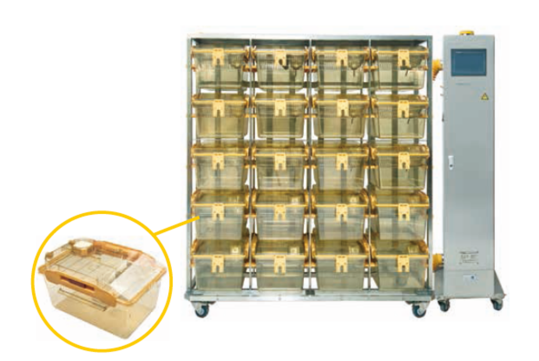 Stainless  MouseIsolation Cage
