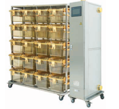 IVC Isolation Cage For Biosecurity Guinea Pigs