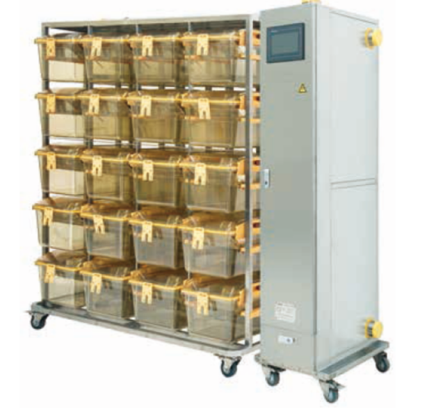 IVC Isolation Cage For Biosecurity Guinea Pigs