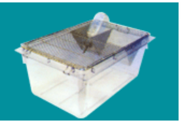 Mouse feed cage