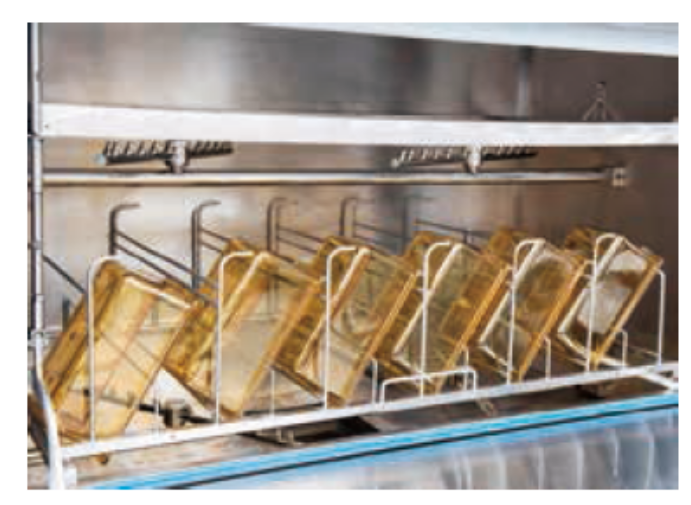 Disinfection And Purification Transfer Window