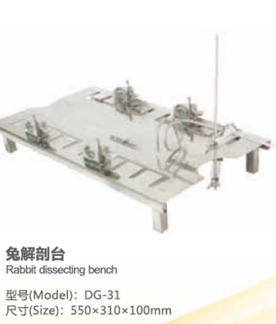Animal Dissecting Bench