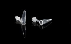 0.2 mL PCR  Tube