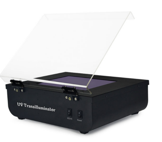 UV transilluminator