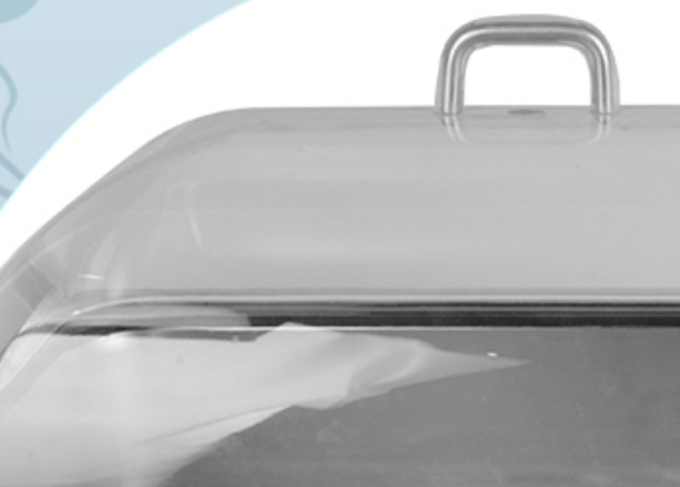 Thermostatic Water Bath
