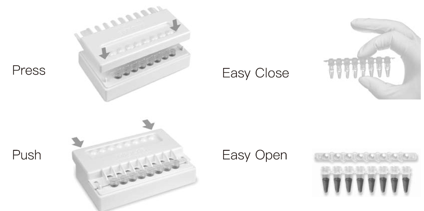 PCR Strip Assistant