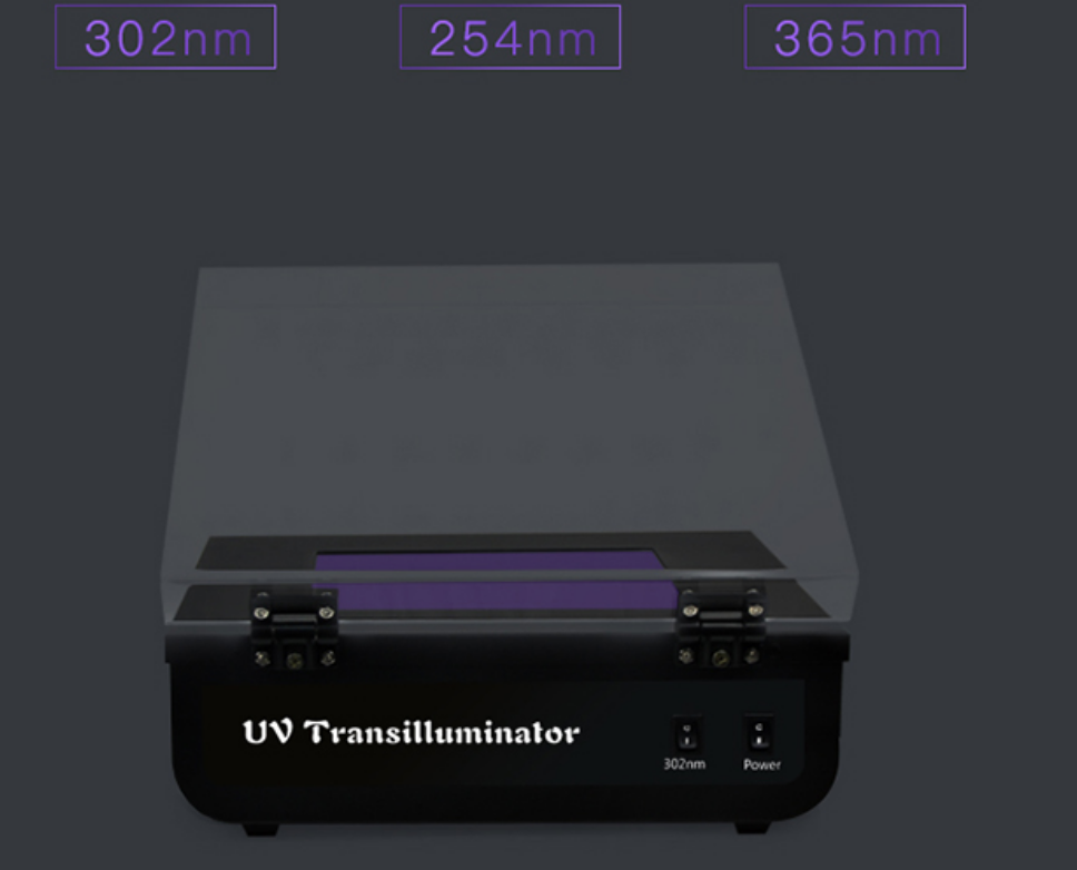 UV transilluminator