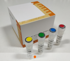 Genotyping PCR kit