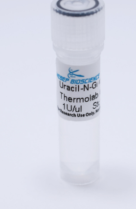 Uracil-N-Glycosylase