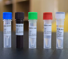 TRIS-EDTA antigen repair solution
