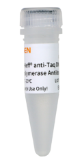 Taq Antibody