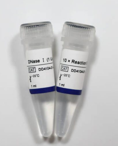 TB Typing Kit(VNTR-9)