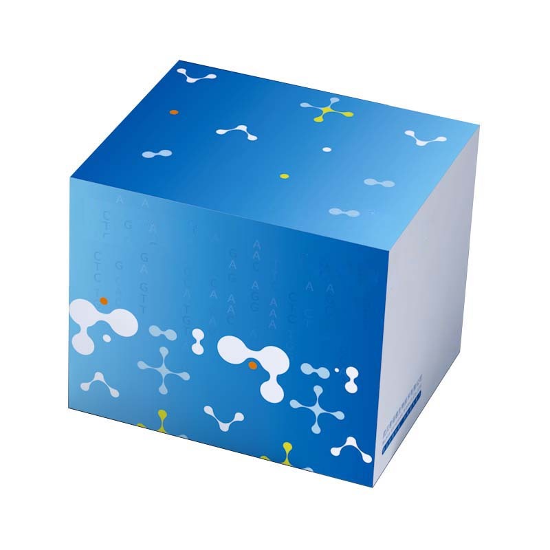 One step rapid preparation of PAGE gel kit