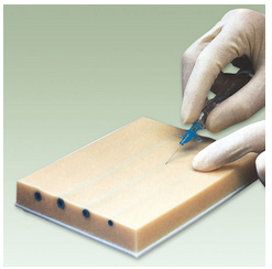  The Venous Puncture Module pad trainings