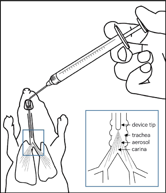 Dry Powder Insufflators