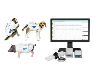 Temperature Control System for Patch Clamp and Isolated Heart Experiments