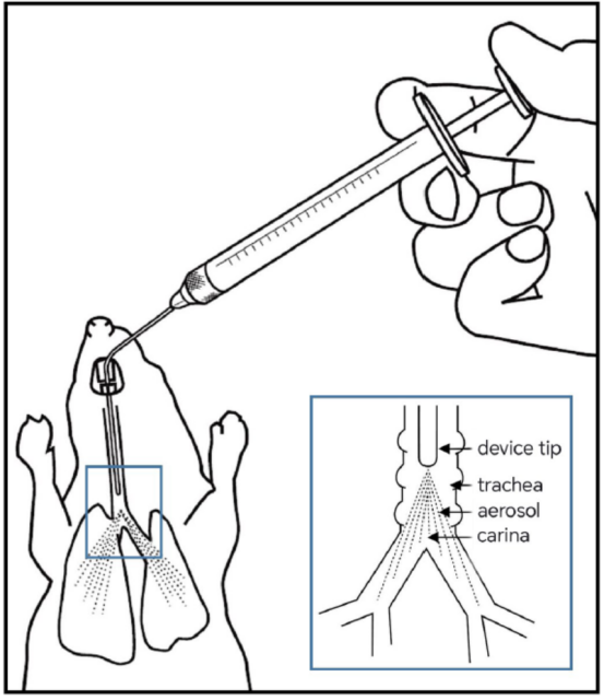Penn-Century accessories for precise intratracheal aerosol administration-Small-Injection Rod
