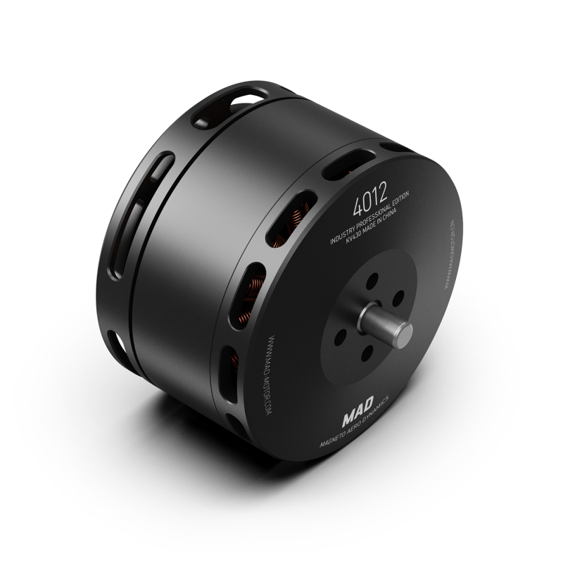 4012 IPE brushless motor