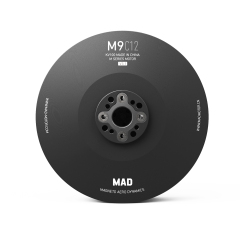 M9C12 IPE V3.1  brushless motor