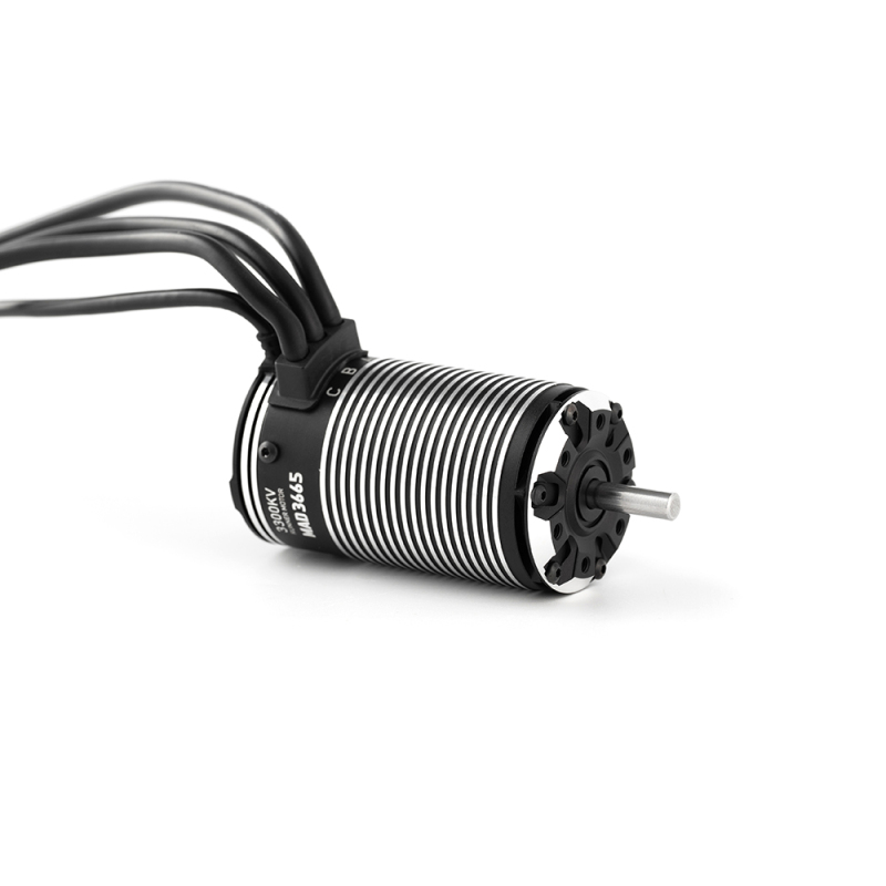 MAD Runner3665 Sensored Brushless Motor For Rc Cars