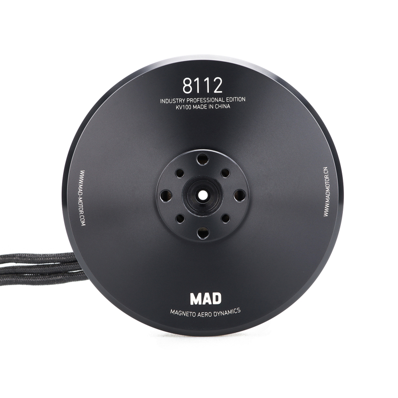 8112 IPE  brushless motor