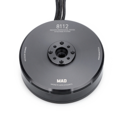 8112 IPE  brushless motor