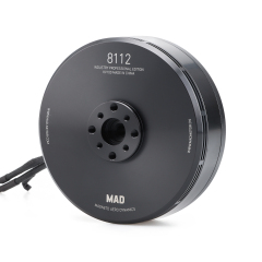 8112 IPE  brushless motor