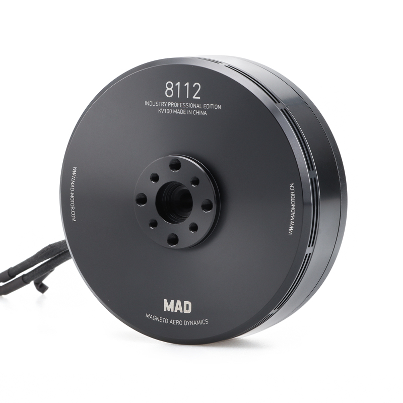 8112 IPE  brushless motor