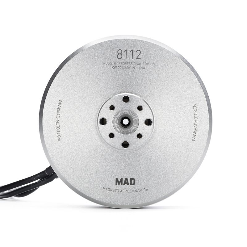 8112 IPE silver brushless motor