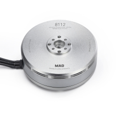 8112 IPE silver brushless motor