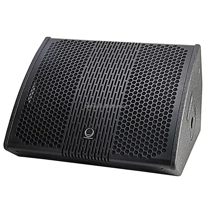 Trumbosound LA12M FullRange Speaker Monitor Perfect for Outdoor and