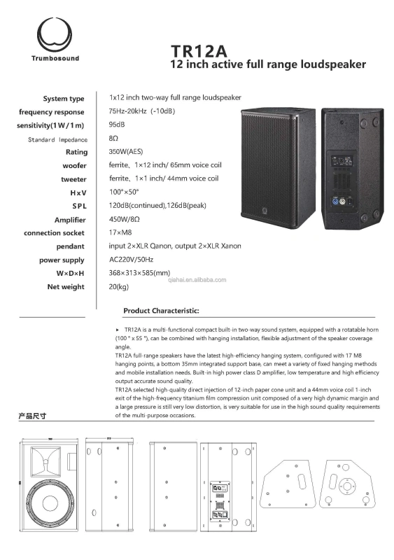 Active TR Series 10 12 15 Inch TR10A 10 Inch Two-way Full Range Loudspeaker RMS 250W DJ Audio Equipment Club Bar Stage Speaker