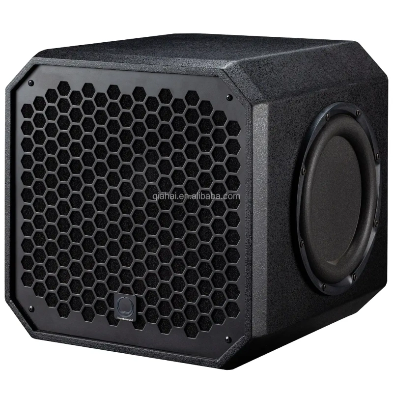 TR12B Modern 12 Inch Subwoofers With 150W 35Hz-250Hz Sub Woofer Speakers For Party Club Karaoke KTV Can Add Logo