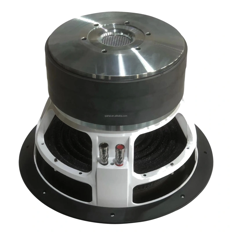 New 10 inch car subwoofers HYW-1075-045E professional music for Car or Truck Stereo Sound System Premium Audio Speakers