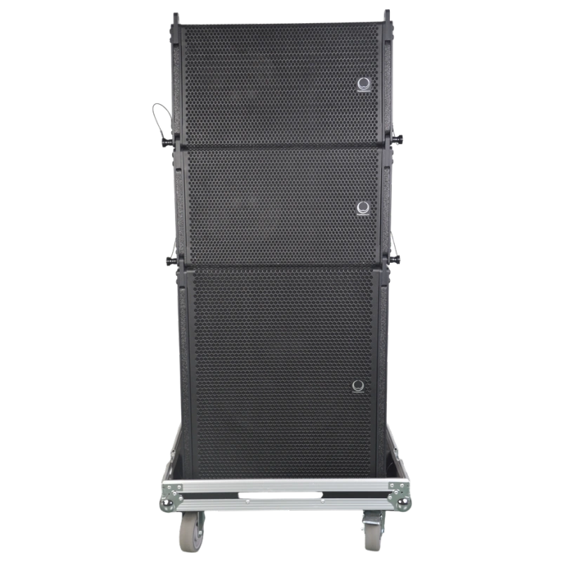 LA10+LA18B LINE ARRAY SPEAKER