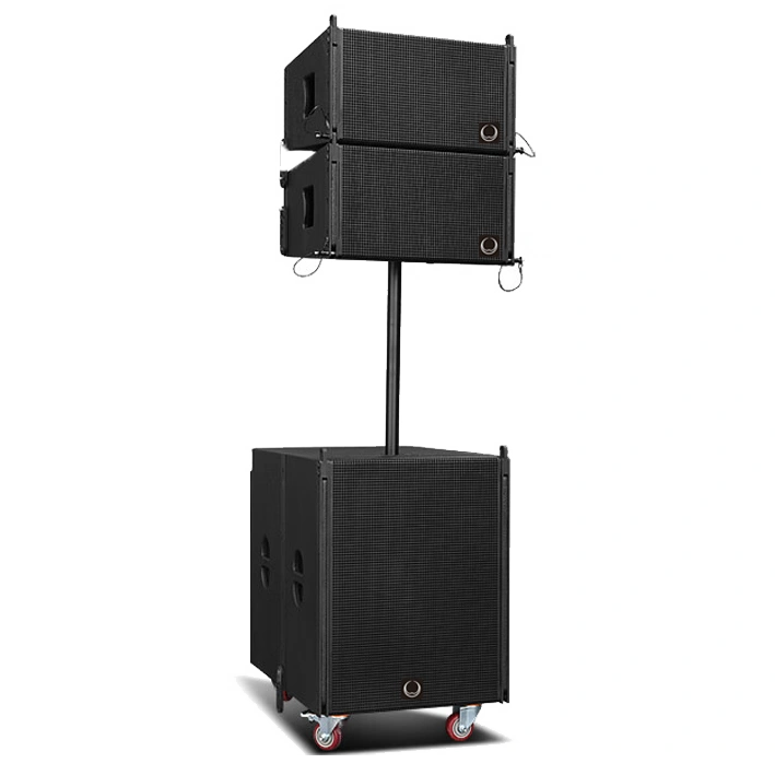 LA10+LA18B LINE ARRAY SPEAKER