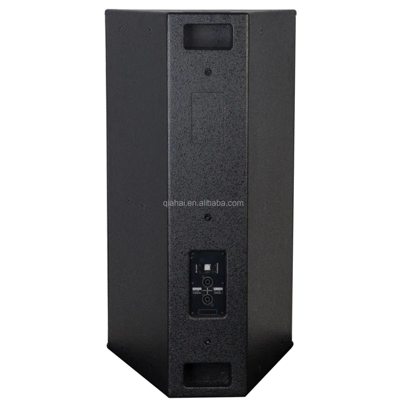 TR15+ Full Range 15 Inch Speaker 800W For Events Show Disco Club Bar