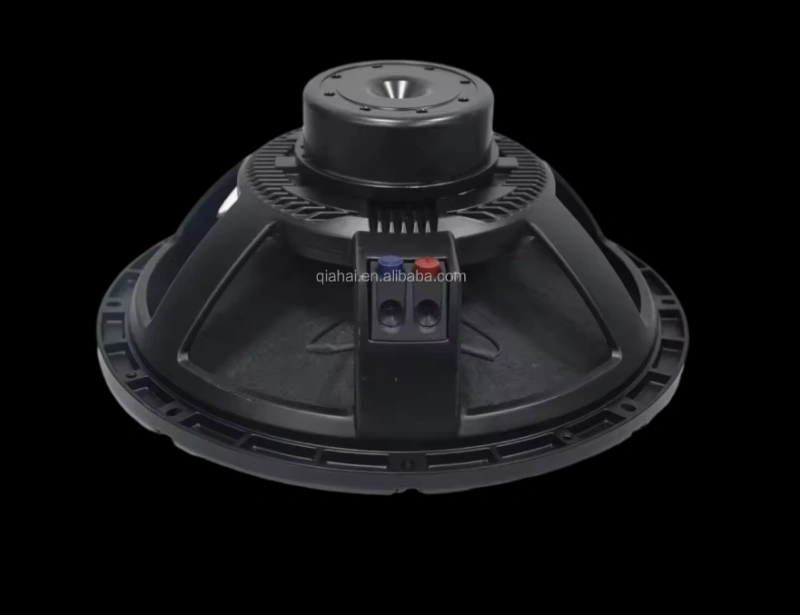 HYW-1286-003 12 Inch Neo Woofer 500W RMS Professional Audio Sound System Bass Subwoofer Speakers For Wedding Party