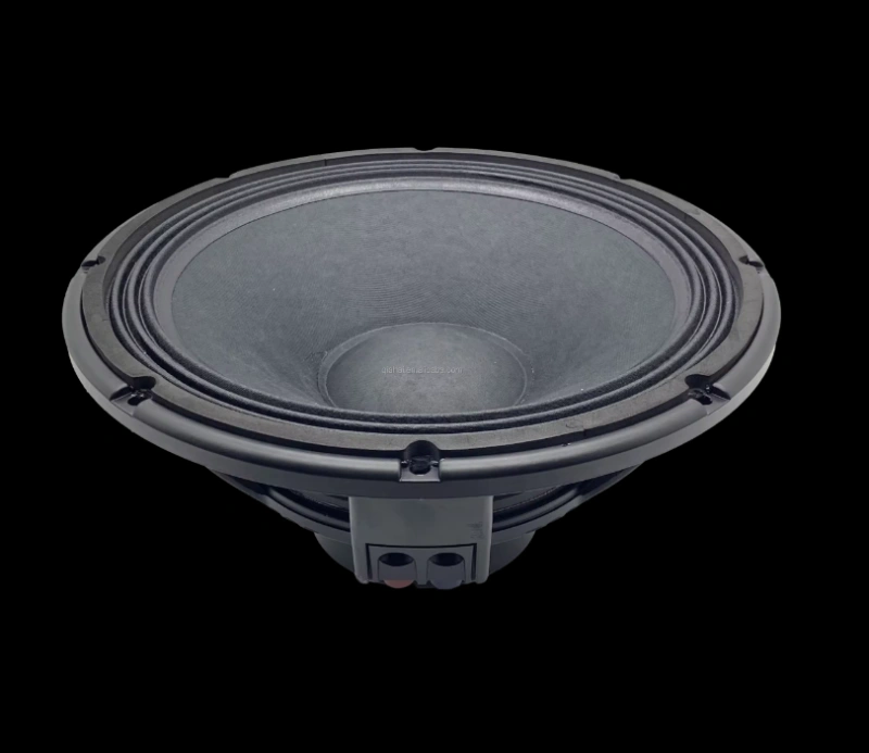 HYW-1286-003 12 Inch Neo Woofer 500W RMS Professional Audio Sound System Bass Subwoofer Speakers For Wedding Party