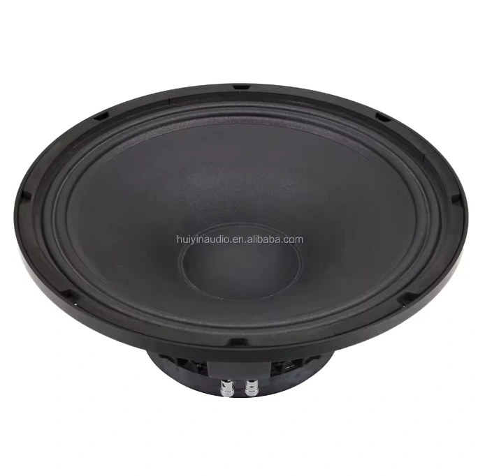 HYW-1265-035 Speakers12 inch 300 Watts 170mm Magnet Paper Cone Line Array Audio Bass Stereo Portable