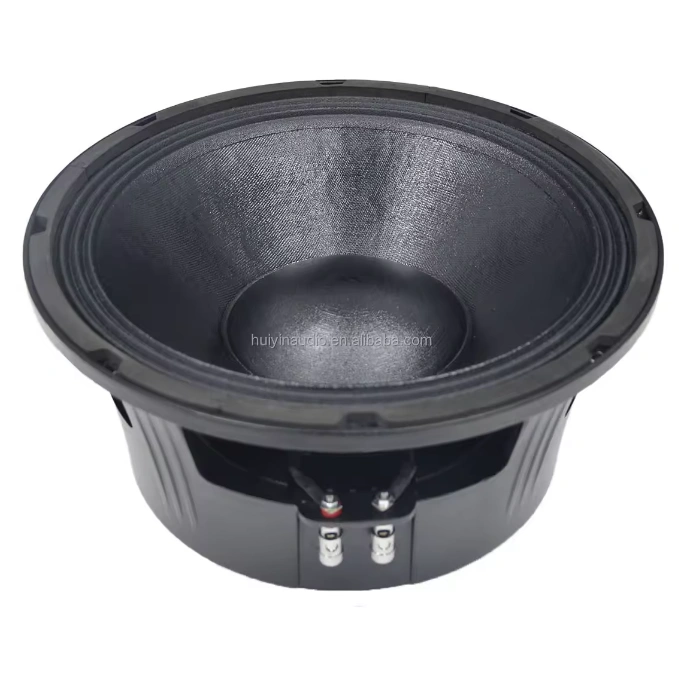 HYW-12100-022 Subwoofers Speakers 12 Inch Paper Cone Midbass High Power 600watts