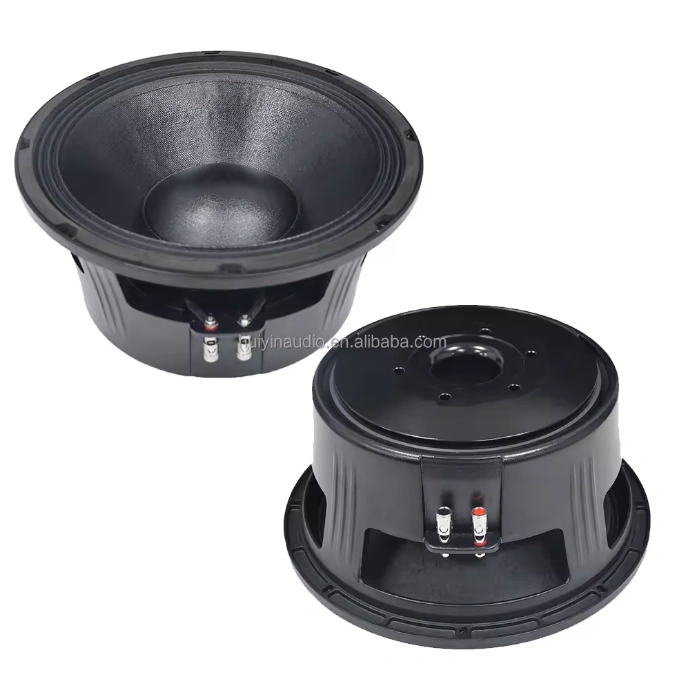 HYW-12100-022 Subwoofers Speakers 12 Inch Paper Cone Midbass High Power 600watts